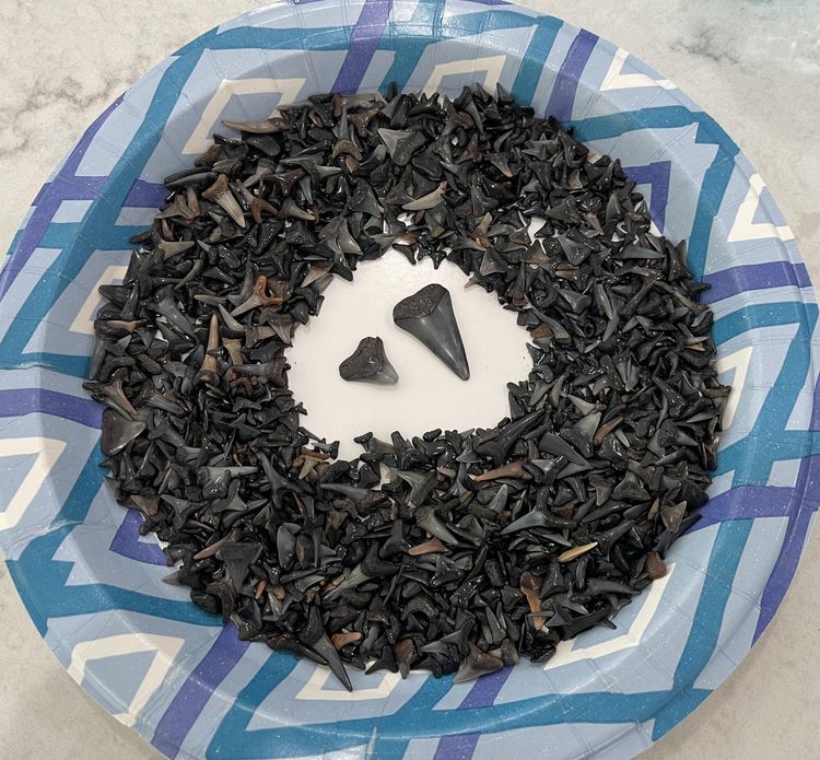 03-17-17-1647872249276429768