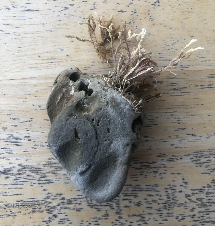 03-17-17-16478722652105516756