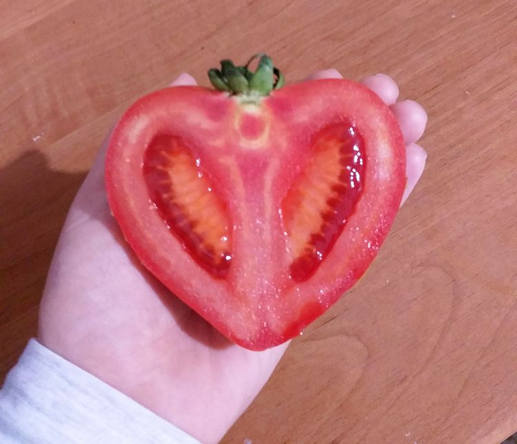 03-17-18-1647872281124718053