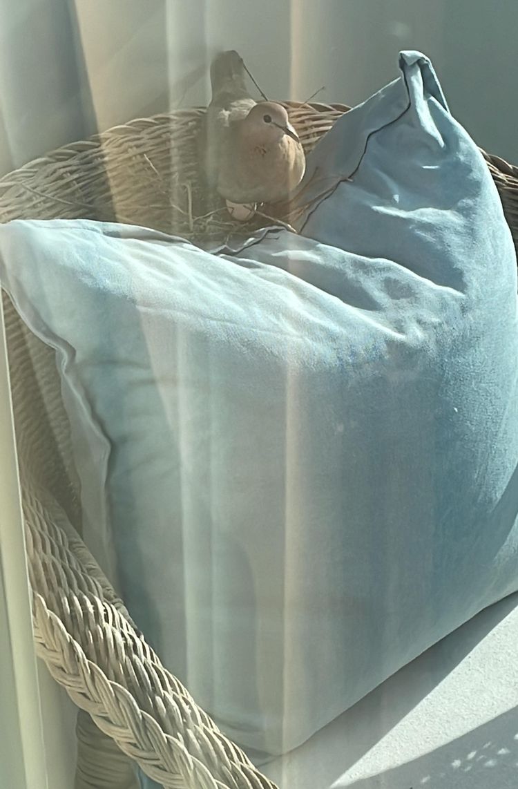 03-17-18-1647872286631314893