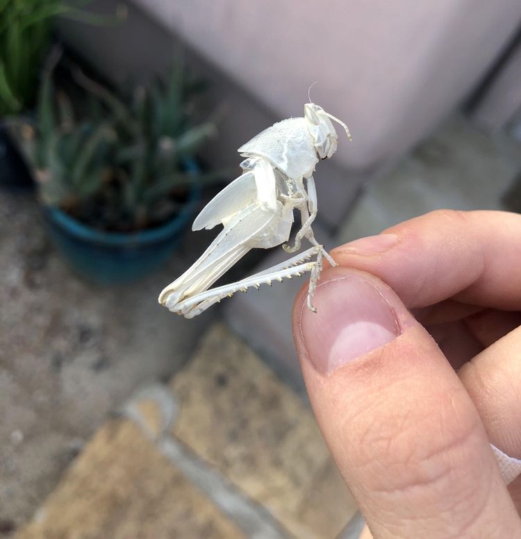 03-17-18-1647872289405900522