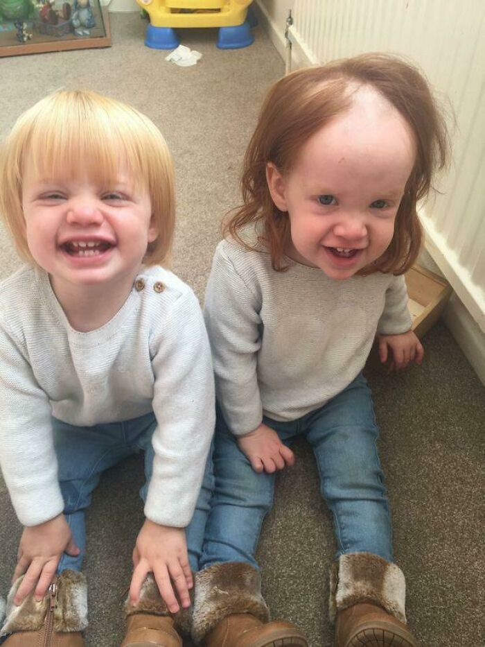 03-17-26-16479591721047541251