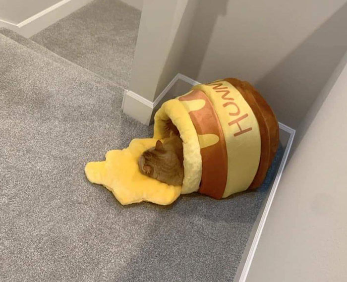 03-17-34-1647354899640224796