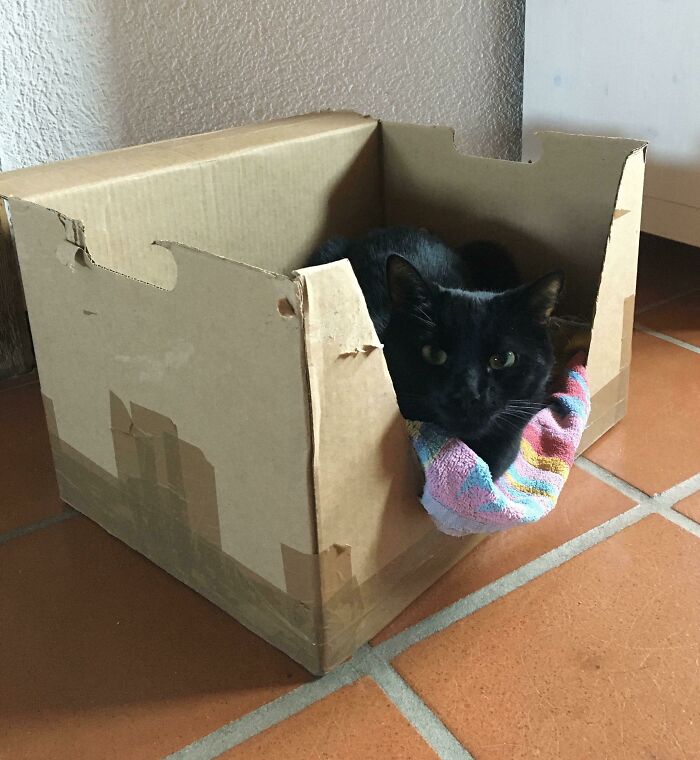 03-18-25-16468395422101537683