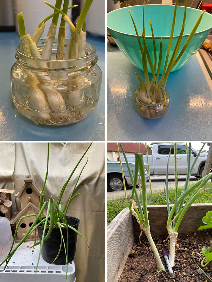 03-18-25-164683954553670726