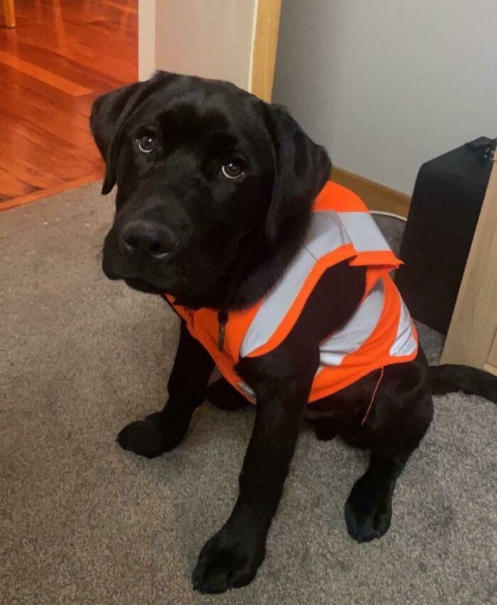 03-18-25-16468395551524324662