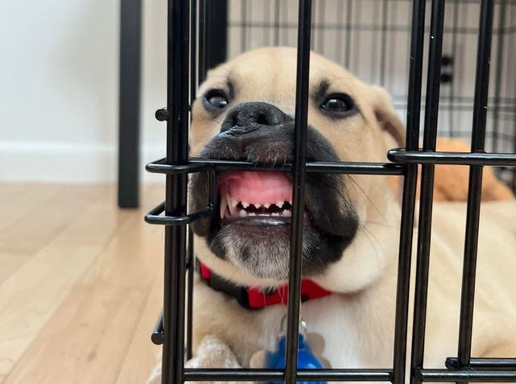 03-20-20-16462416181622740067