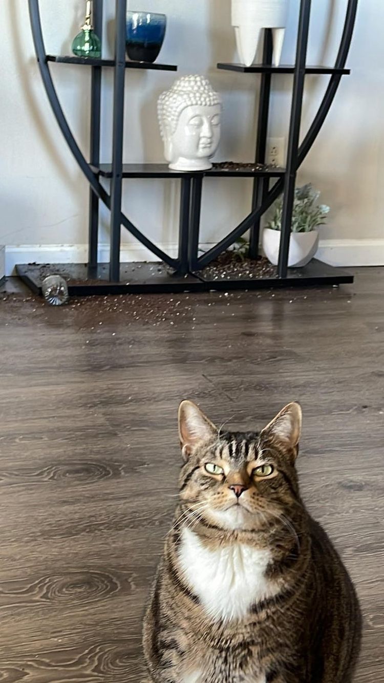 03-20-20-16462416251510219615