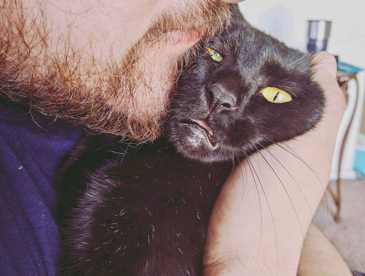 03-20-20-16462416462139560698