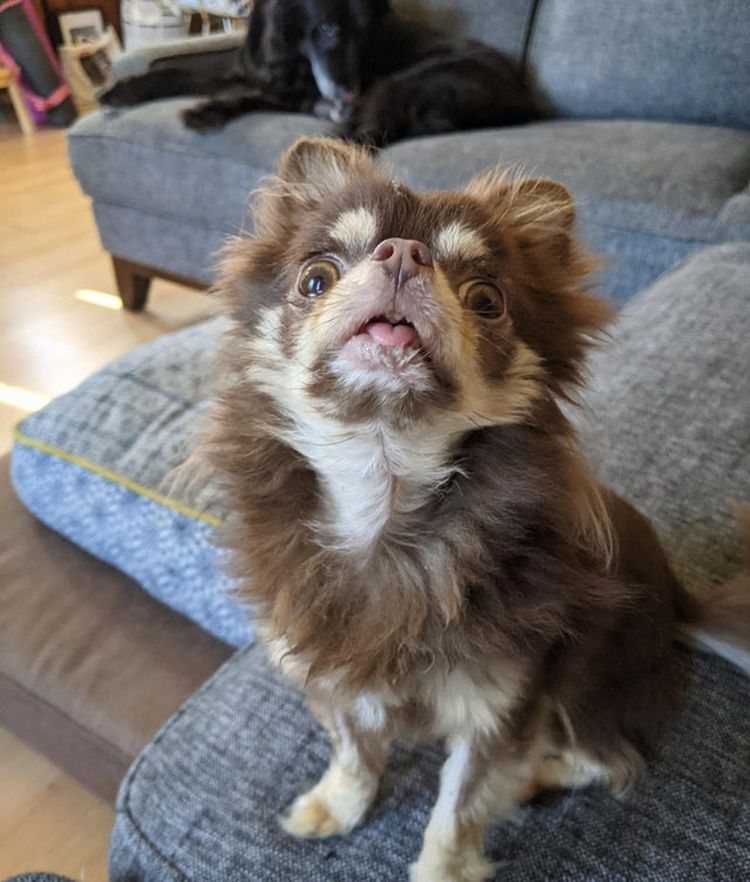 03-20-20-1646241649247384566