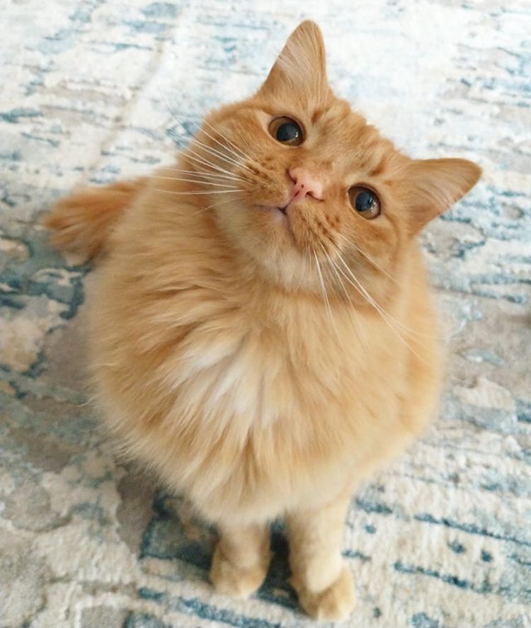 03-20-20-16462416572061023396