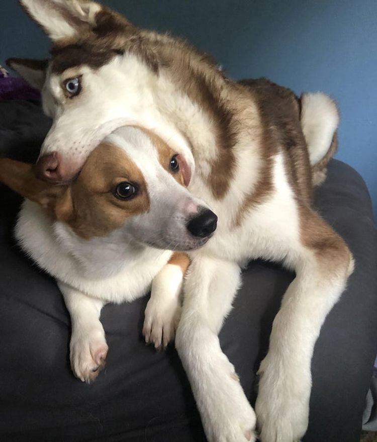 03-20-21-16462416602075395841