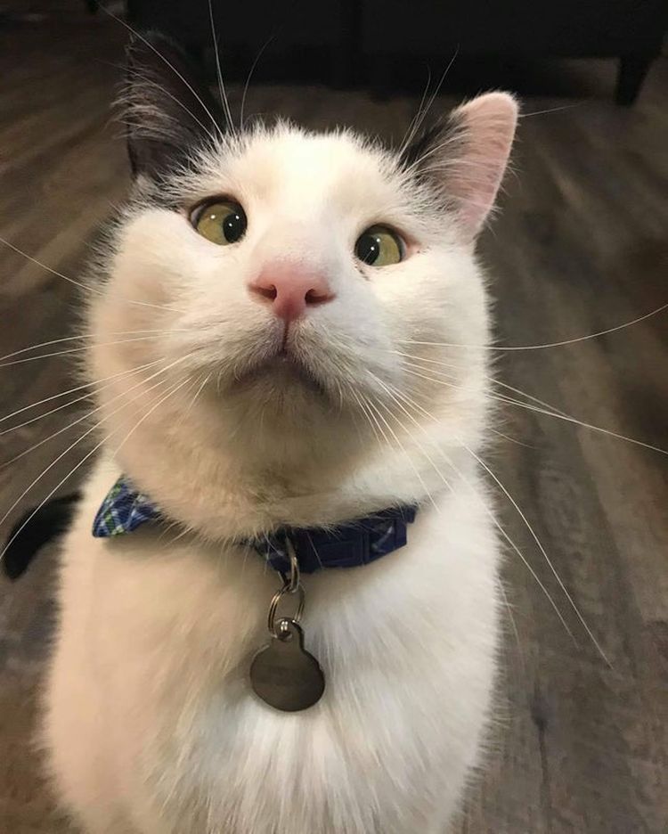 03-20-21-1646241664864562003