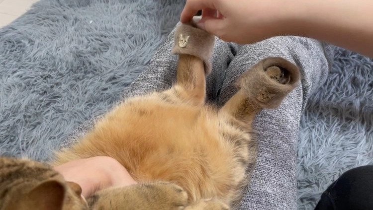 03-21-39-16484927801642270523