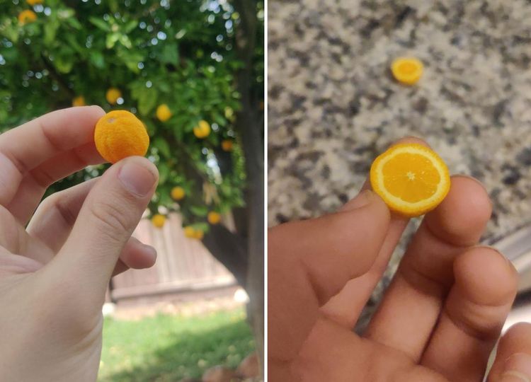 04-11-24-1649751841528203033