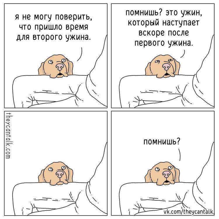 04-11-37-16491478572098398585