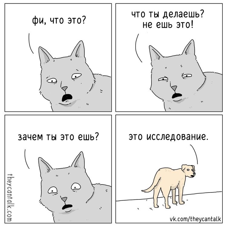 04-11-37-16491478621423935581