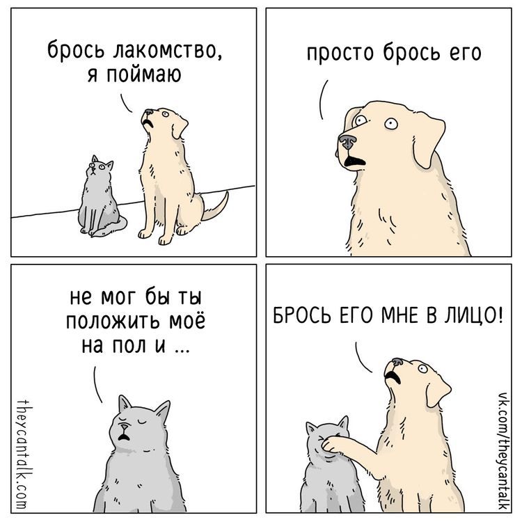 04-11-38-16491478902108764568