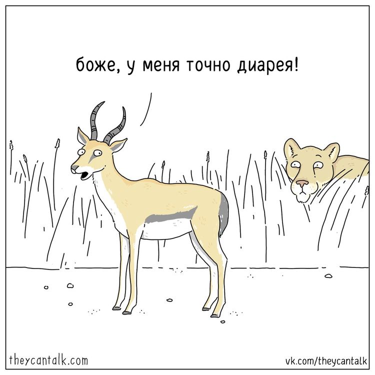 04-11-38-1649147893795623185