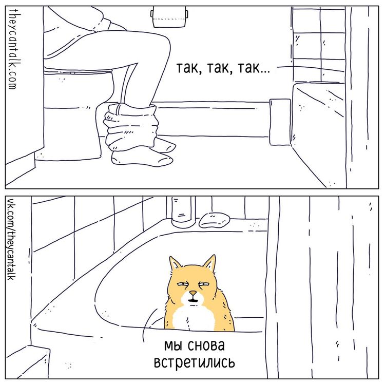 04-11-38-164914789696538395