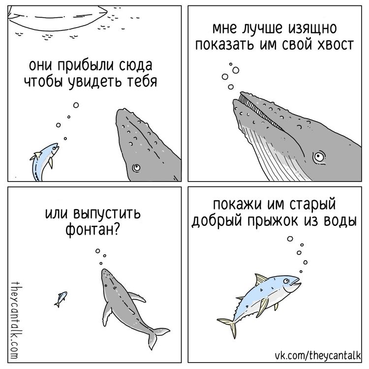 04-11-38-164914790546222712