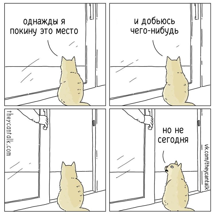 04-11-38-16491479101674271347