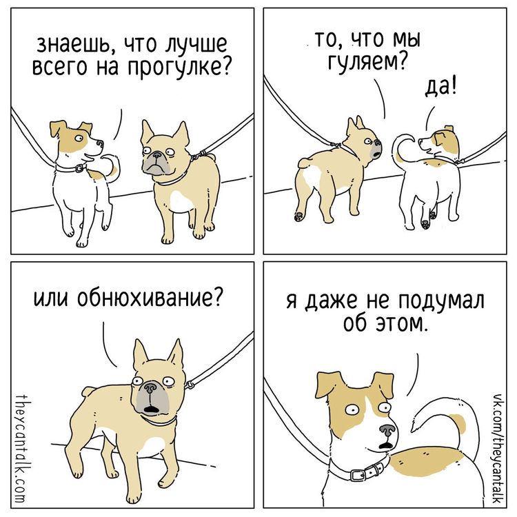 04-11-38-1649147915504916390