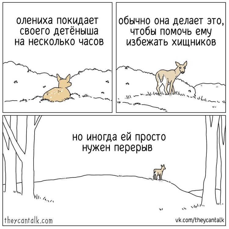 04-11-38-1649147932911444237