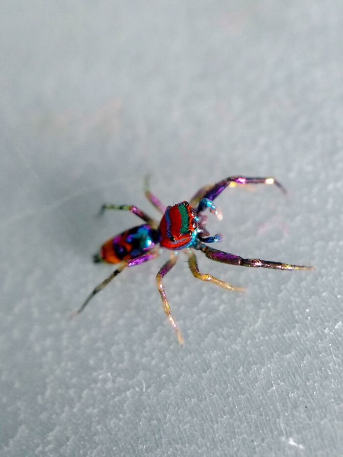 04-11-39-1650271160950311945