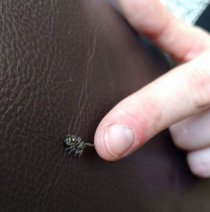 04-11-39-1650271177240191443