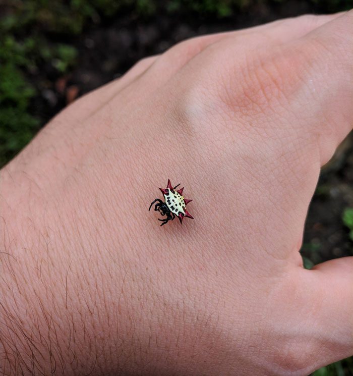 04-11-39-1650271184591104999