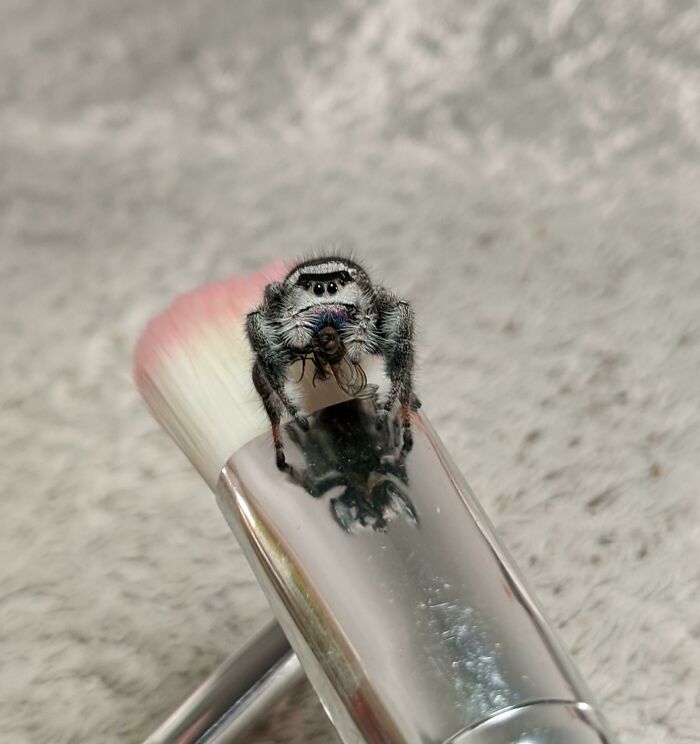 04-11-39-16502711882023002566