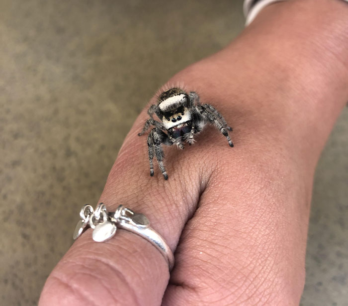 04-11-39-16502711981752709091