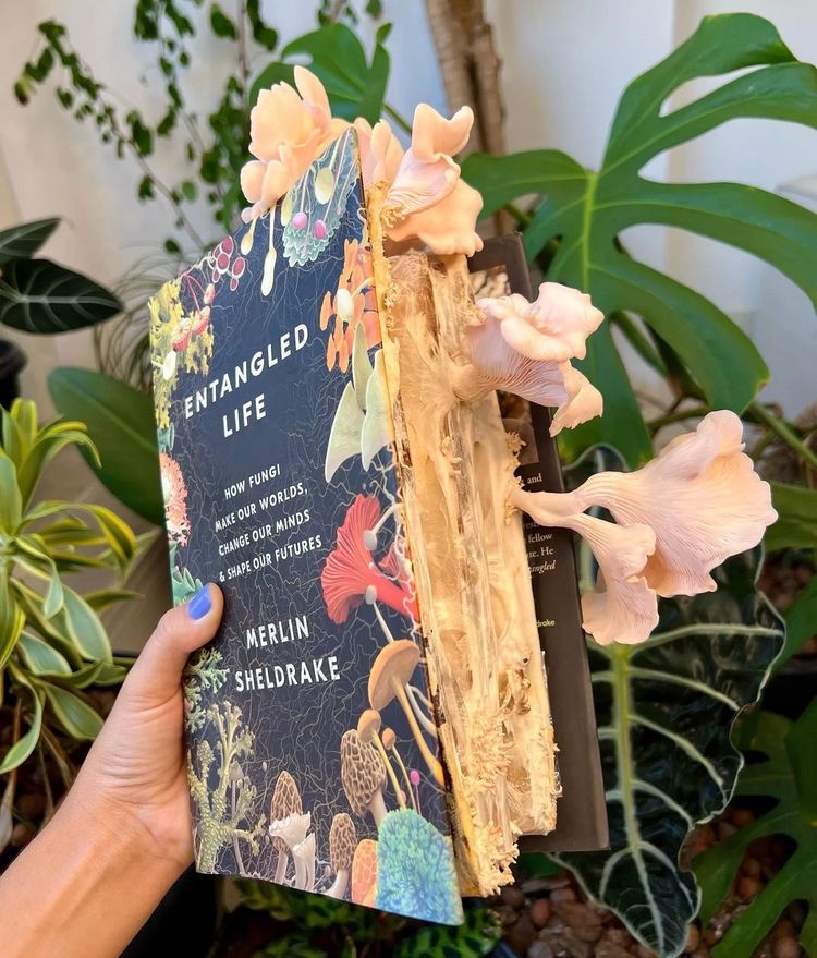 04-11-57-1649321825683744987