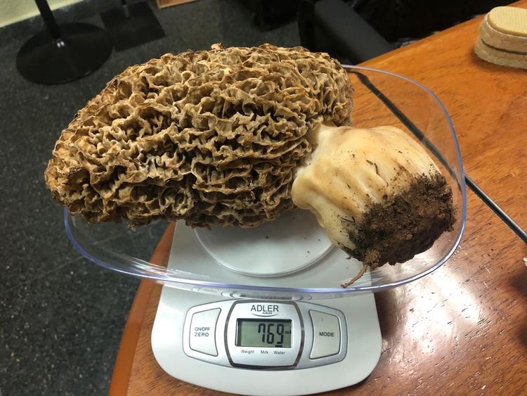 04-11-57-16493218411682990880