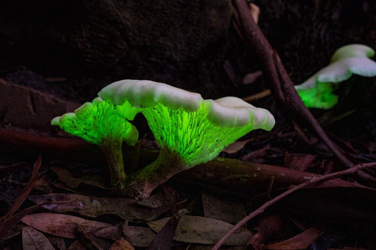 04-11-57-16493218431317804580