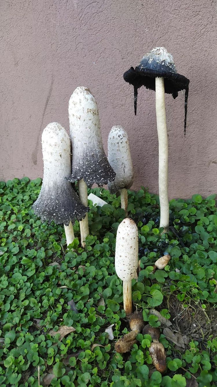 04-11-57-16493218541204594340