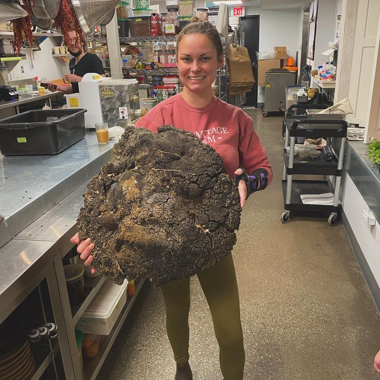 04-11-57-1649321869509682231