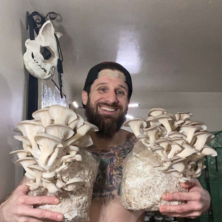 04-11-57-1649321873823553523