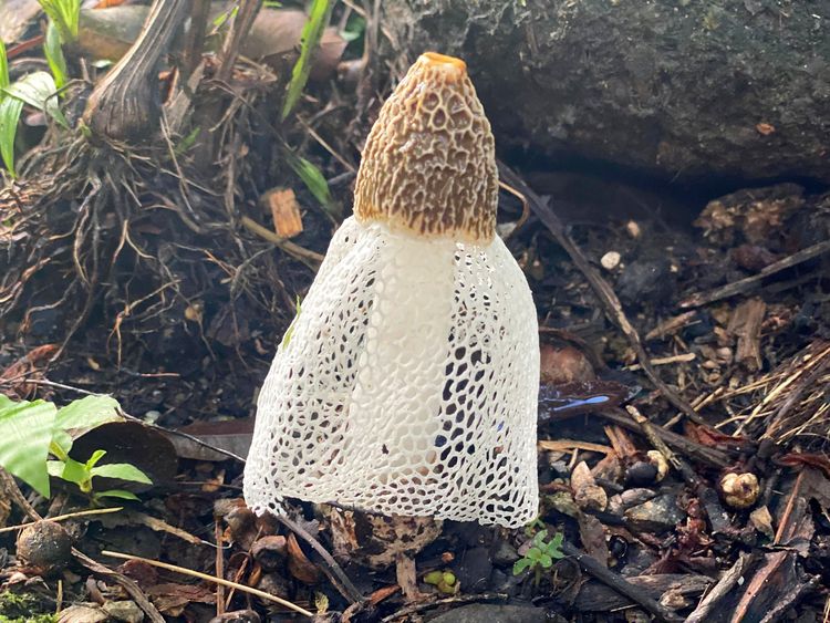 04-11-57-164932187657352400