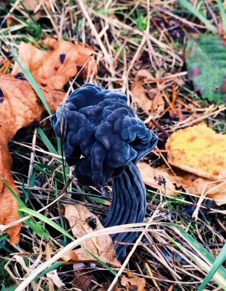 04-11-58-1649321880862039784