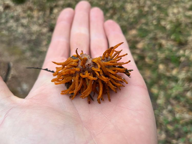 04-11-58-16493218841998385118