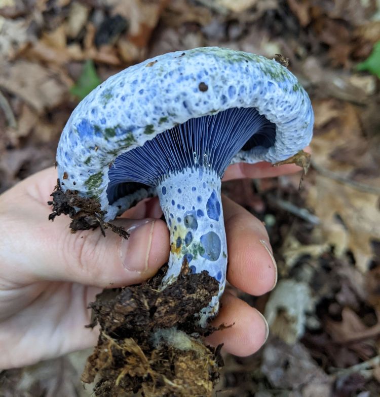 04-11-58-1649321889739249261