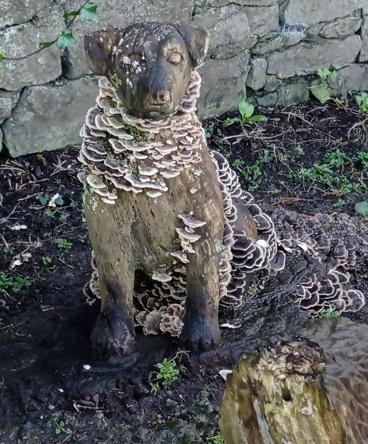 04-11-58-16493218951756109013