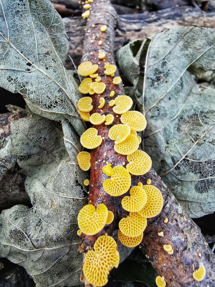 04-11-58-16493218991923230090