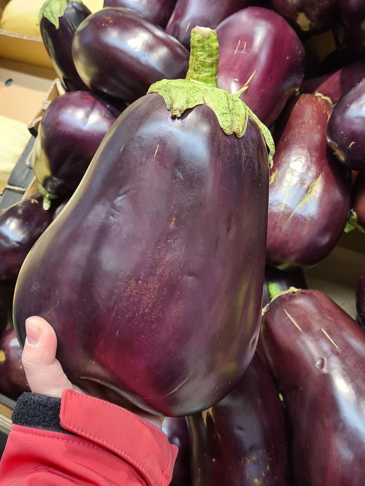 04-12-45-16508799451486543540