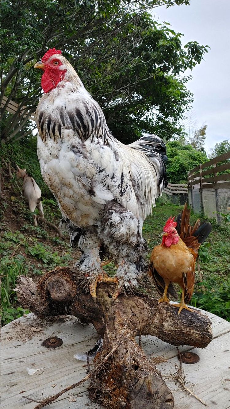 04-12-45-1650879948691258616