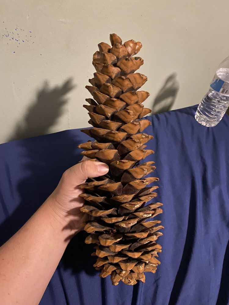 04-12-45-1650879956417798122