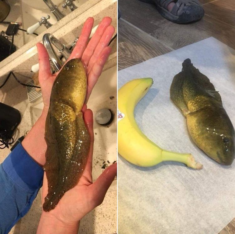 04-12-45-1650879959282181801