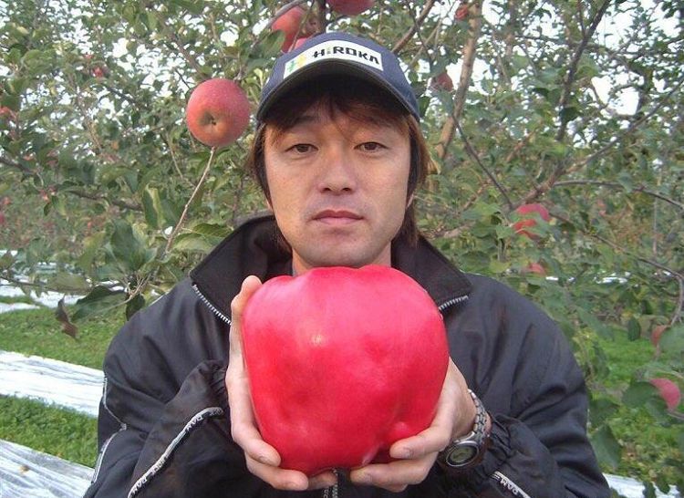 04-12-46-165087996135925481